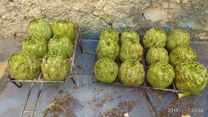 Calçotada 2019 (19)